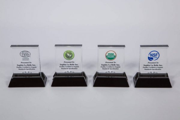 6AWARD-1024x683