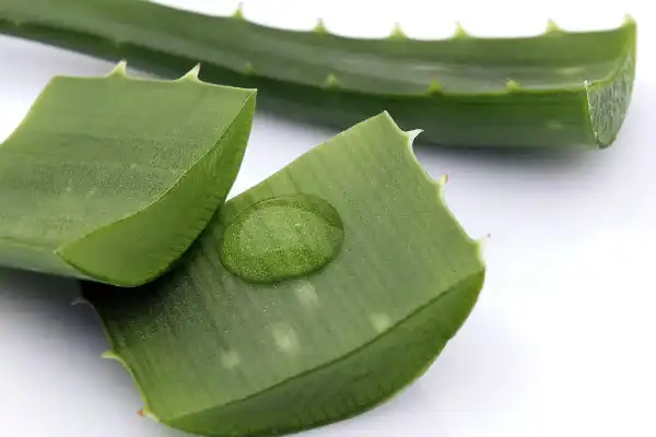 ALOE LEAF JUICE
