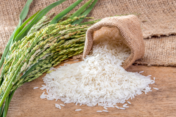 HYDROLYZED RICE PROTEIN