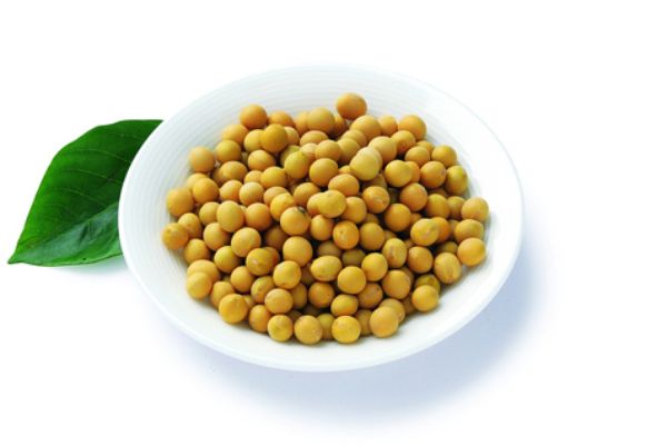 HYDROLYZED SOY PROTEIN