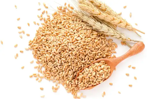 HYDROLYZED WHEAT PROTEIN